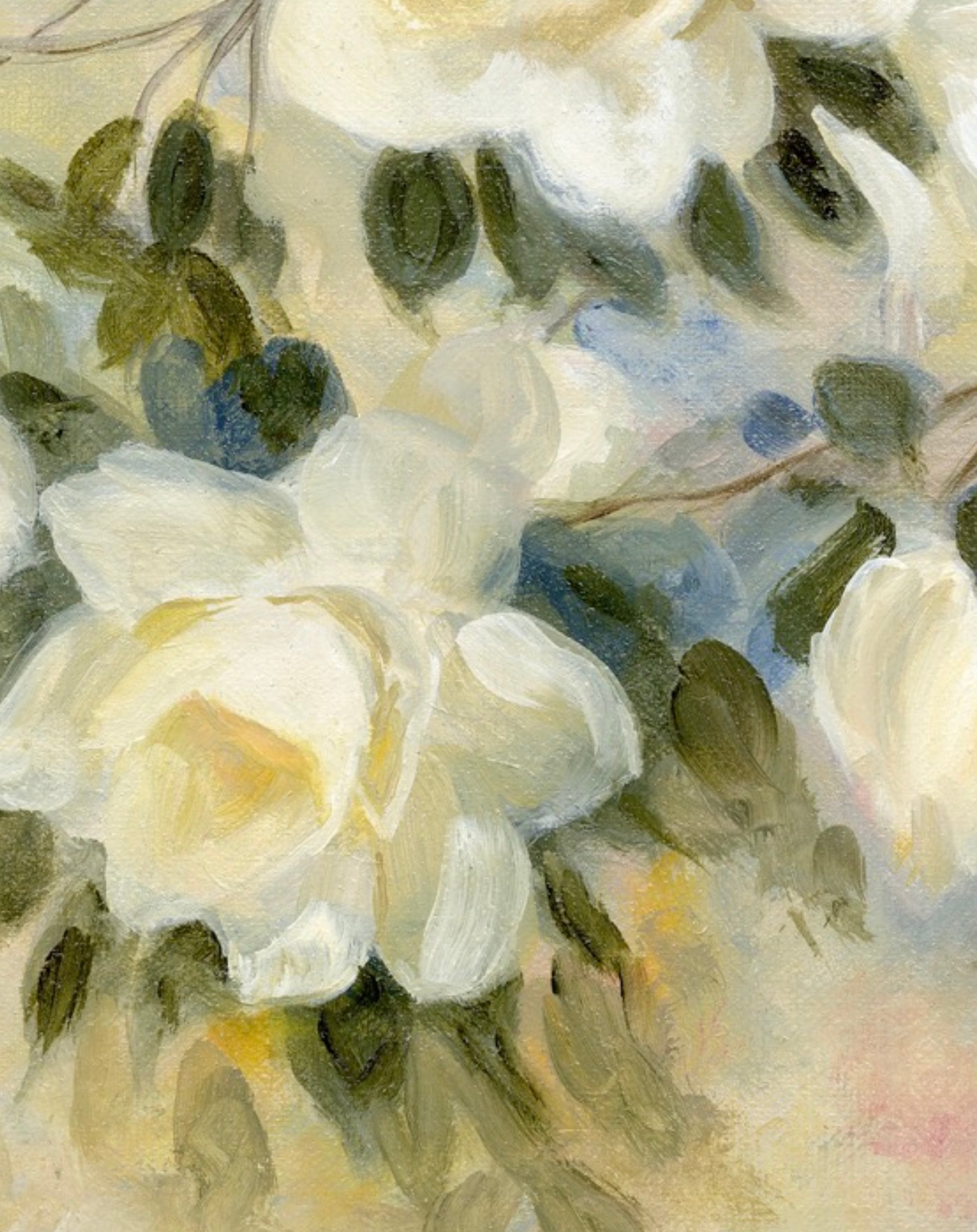 Close-up of full white rose blooms with soft blue shadows in oil paint